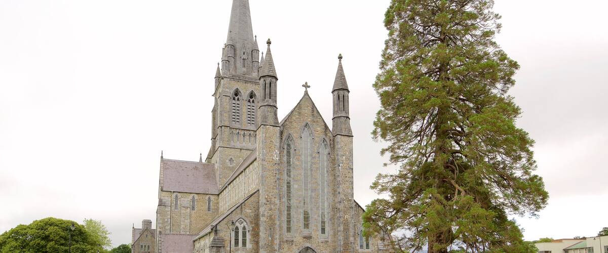 Killarney Cathedral showing heritage elements, heritage architecture and a church or cathedral
