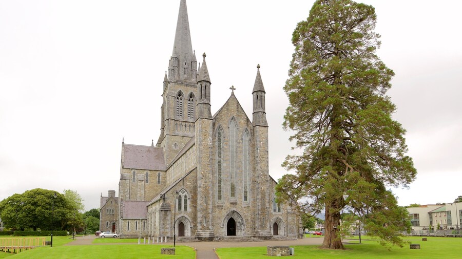 Killarney Cathedral showing heritage architecture, heritage elements and a church or cathedral