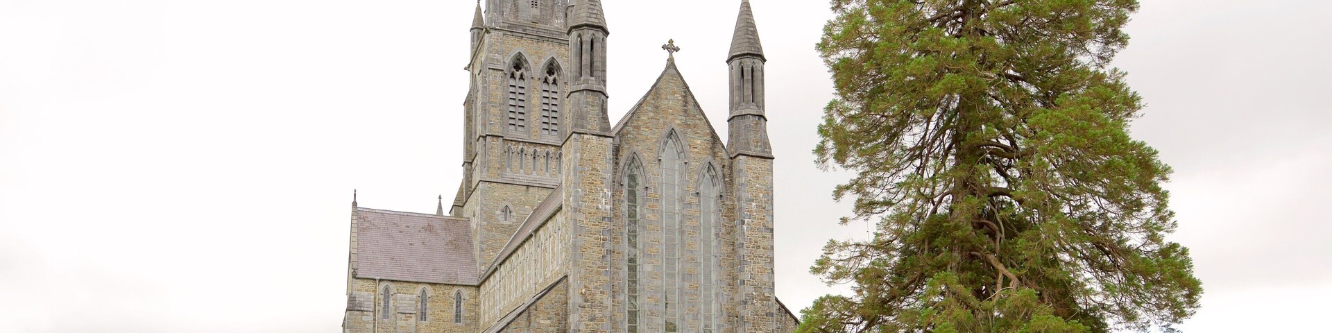 Killarney Cathedral showing heritage elements, heritage architecture and a church or cathedral