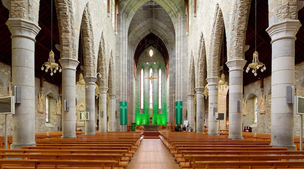 Killarney Cathedral som viser innendørs, kulturarv og kirke eller katedral