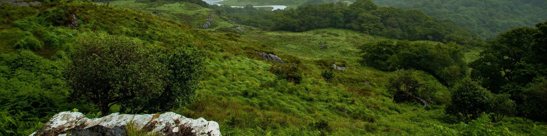 Un valle verde exuberante con un río y montañas al fondo.