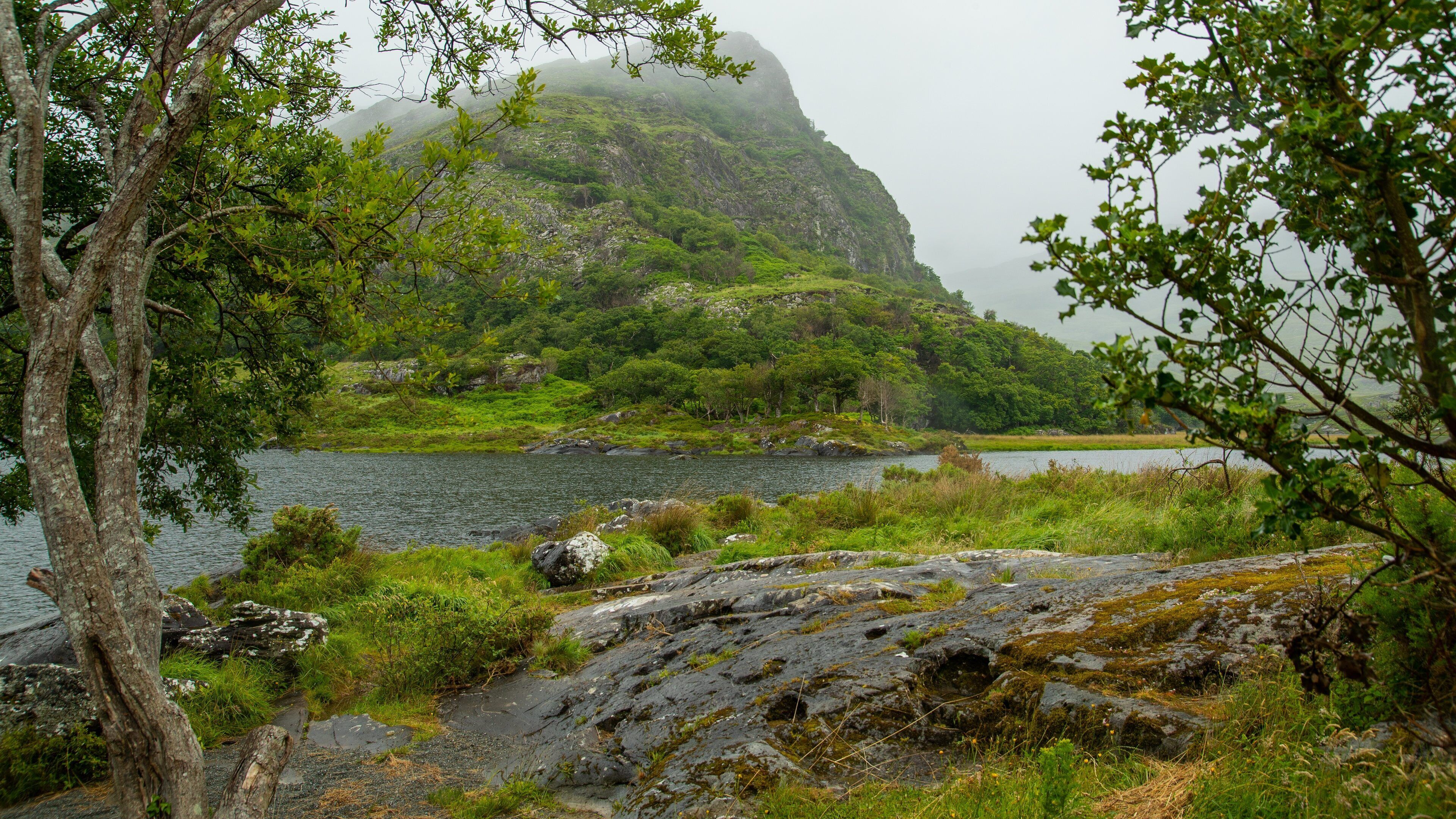 Killarney National Park showing mist or fog, tranquil scenes and a lake or waterhole