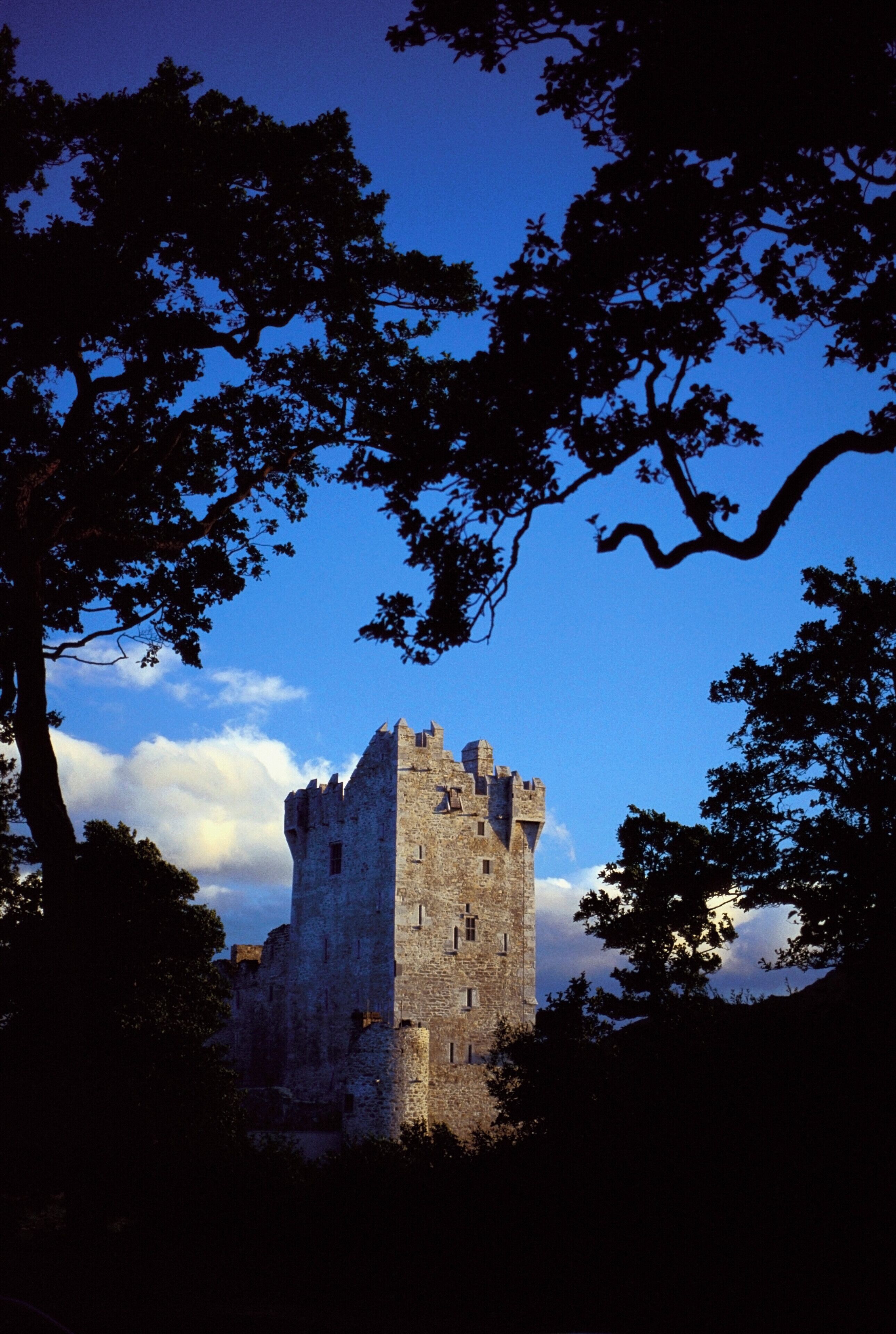Silhouette of trees in front of Ross Castle, Killarney, Ireland