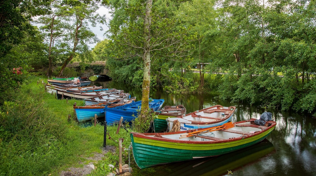Ross Castle which includes a river or creek