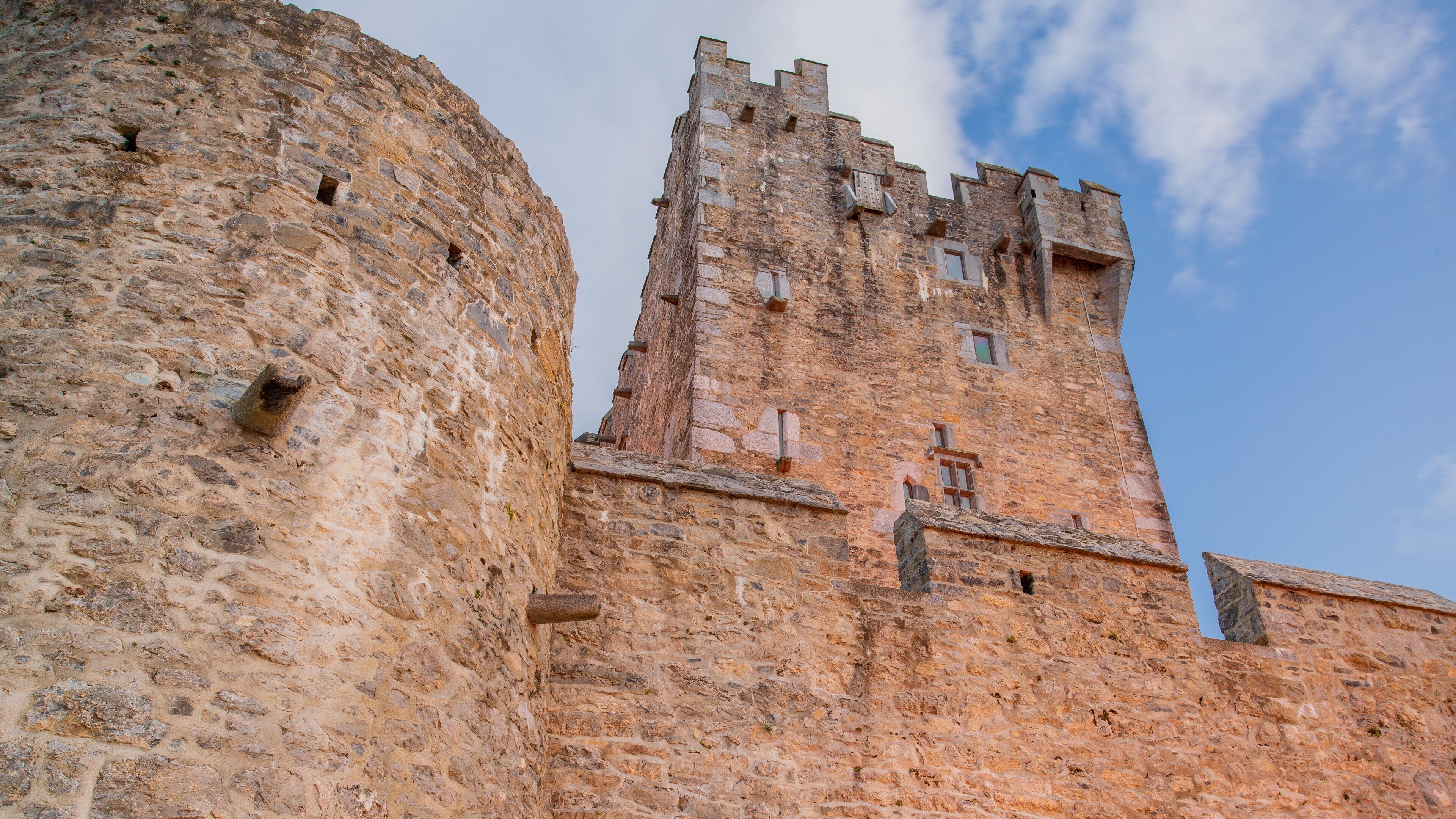 Ross Castle showing heritage architecture and a castle