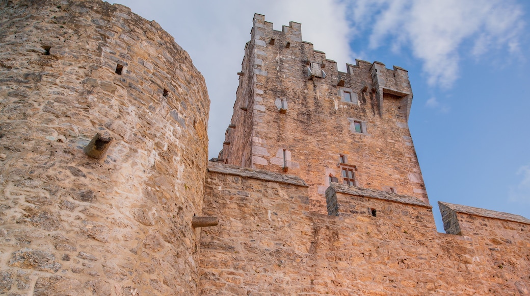 Ross Castle showing heritage architecture and a castle