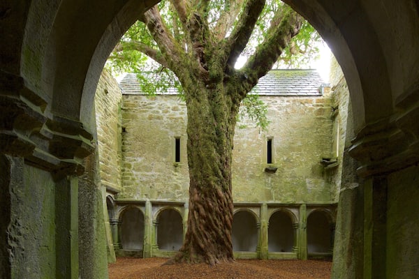 Muckross Abbey mostrando castillo o palacio, elementos del patrimonio y patrimonio de arquitectura