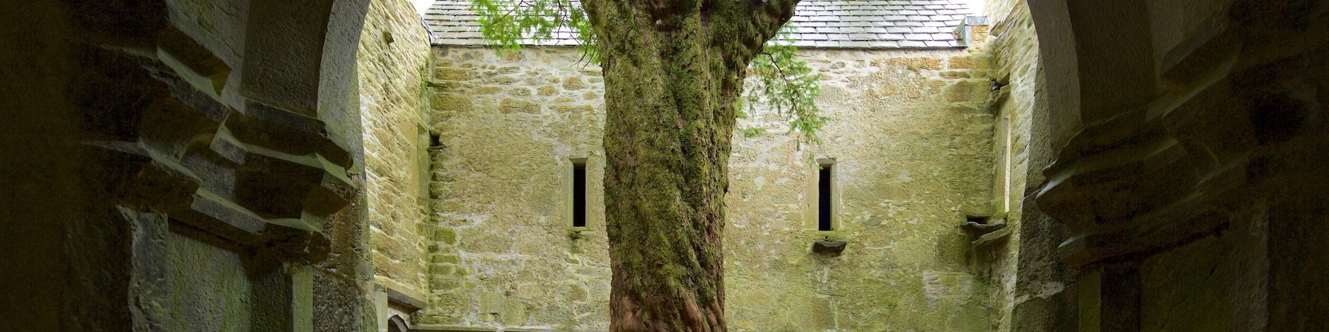 Muckross Abbey ofreciendo un castillo, elementos patrimoniales y arquitectura patrimonial