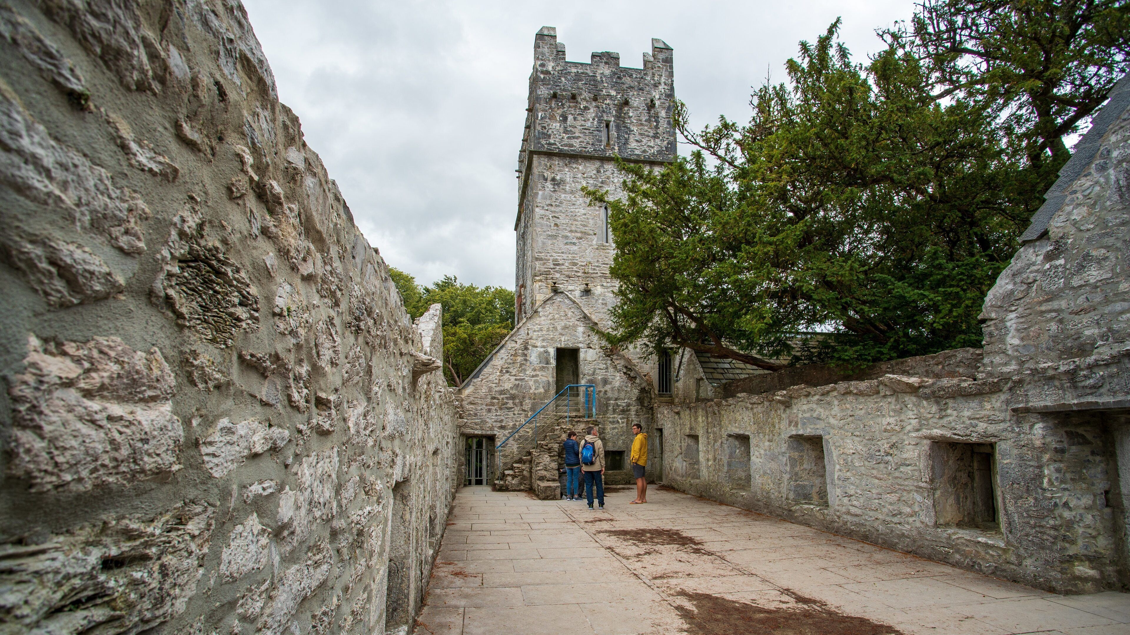 Muckross Abbey which includes heritage architecture