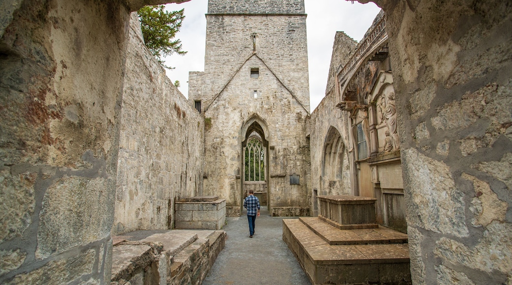Muckross Abbey featuring heritage architecture as well as an individual male