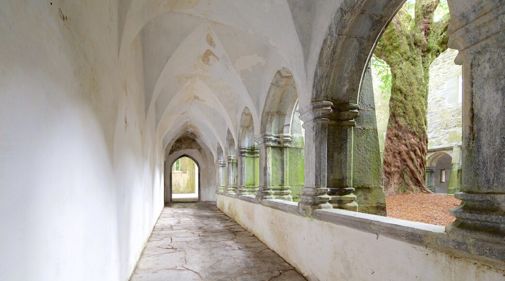 Muckross Abbey fasiliteter samt slott, innendørs og kulturarv