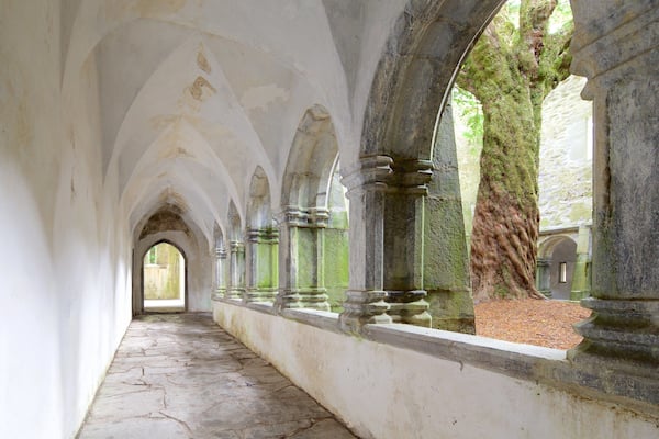 Muckross Abbey welches beinhaltet Innenansichten, Geschichtliches und historische Architektur