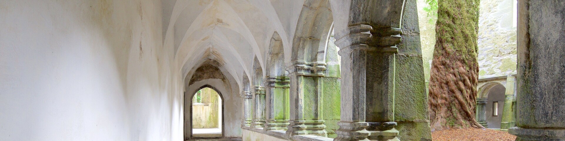 Muckross Abbey featuring interior views, a castle and heritage architecture
