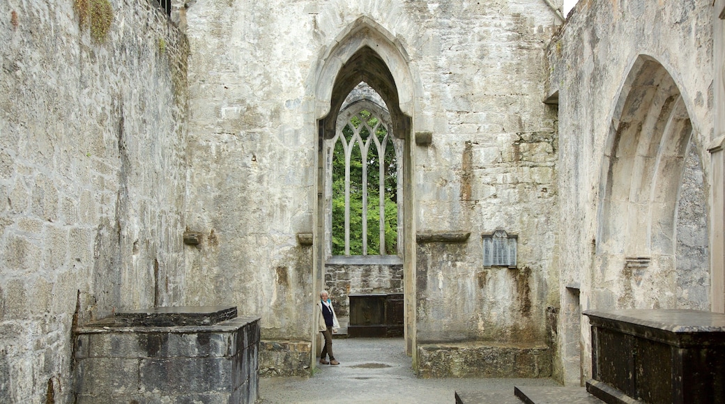 Muckross Abbey som inkluderer historisk arkitektur, palass og kulturarv