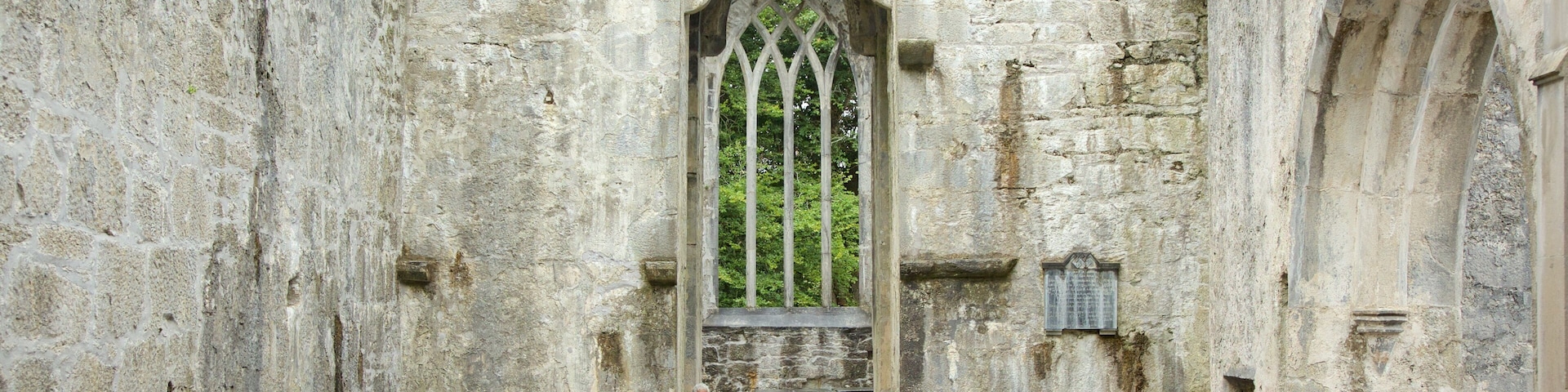 Muckross Abbey que inclui arquitetura de patrimônio, um castelo e vistas internas