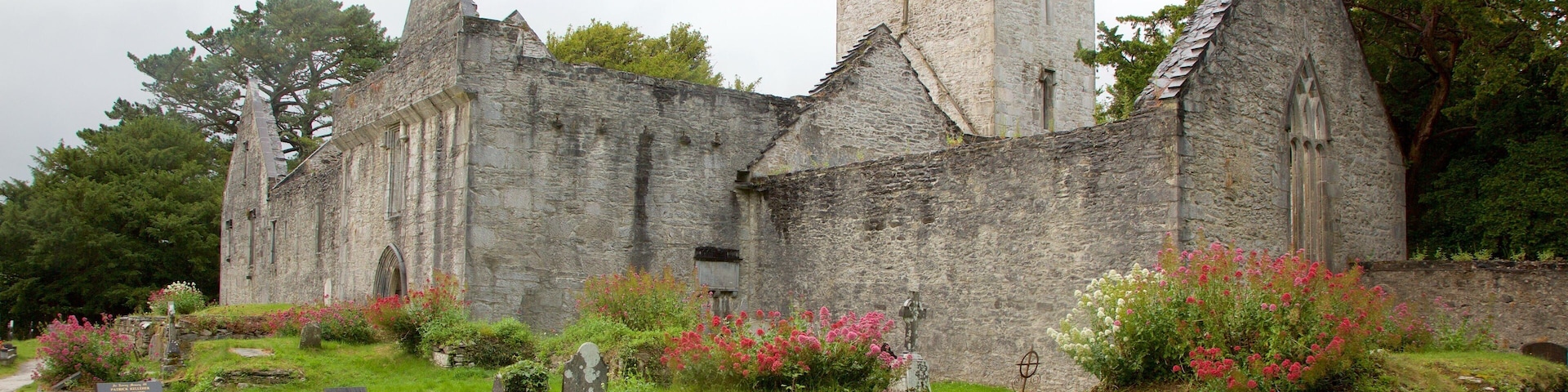 Muckross Abbey which includes flowers, a cemetery and heritage elements