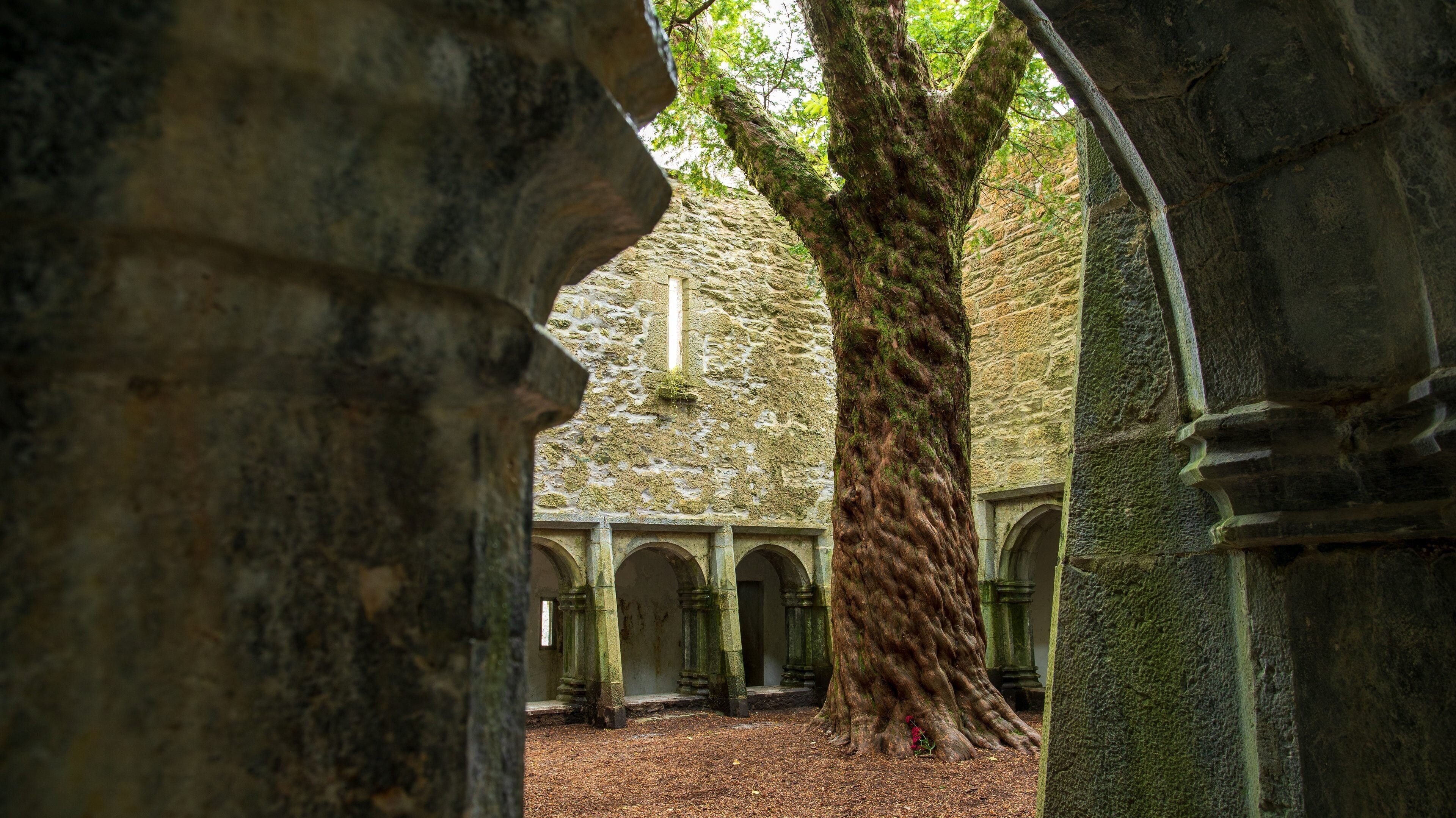 Muckross Abbey featuring heritage elements