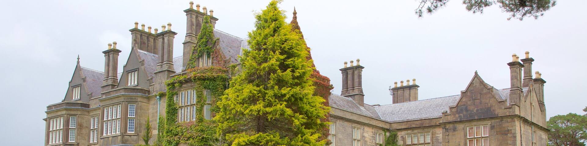 Muckross House featuring château or palace, heritage elements and heritage architecture