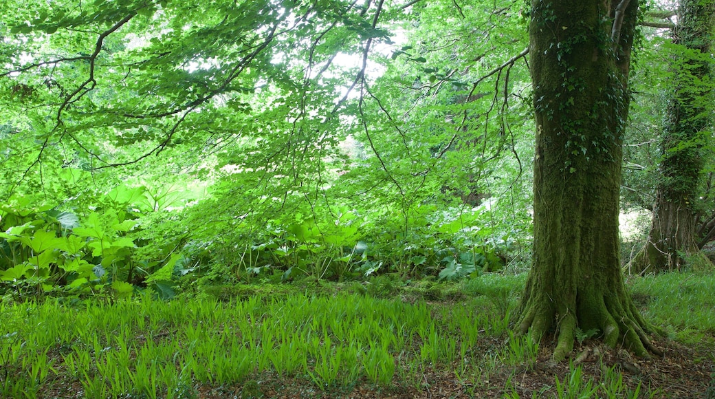 マックロス ハウス どの含み 公園
