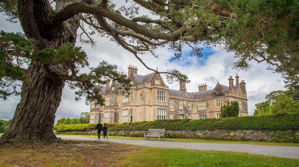 Muckross House featuring a park and heritage architecture as well as a couple