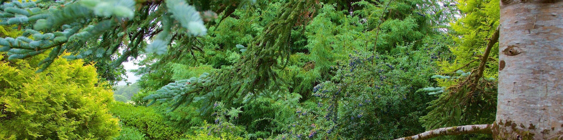 Muckross House som viser kulturarvsgenstande og en park