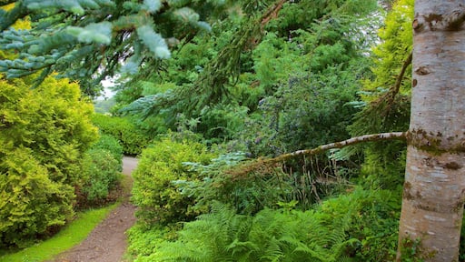 Muckross House showing a garden and heritage elements