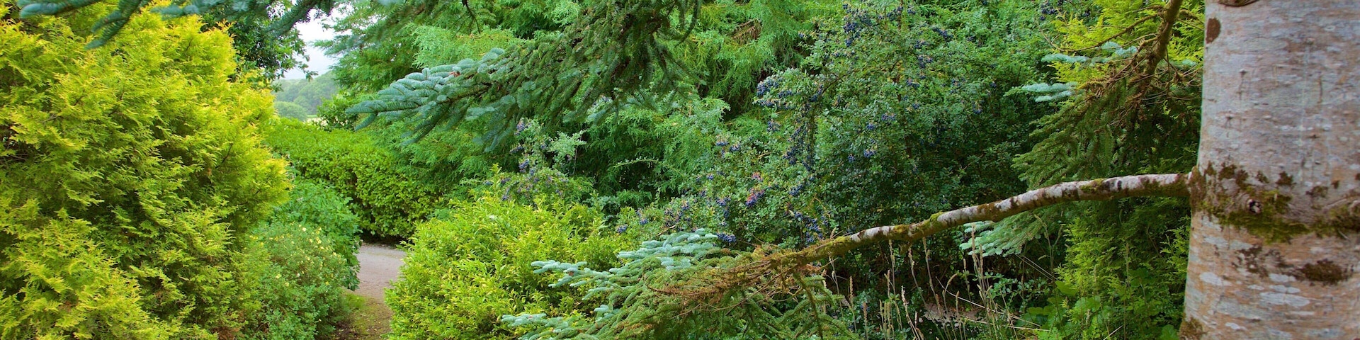 Muckross House featuring heritage elements and a park