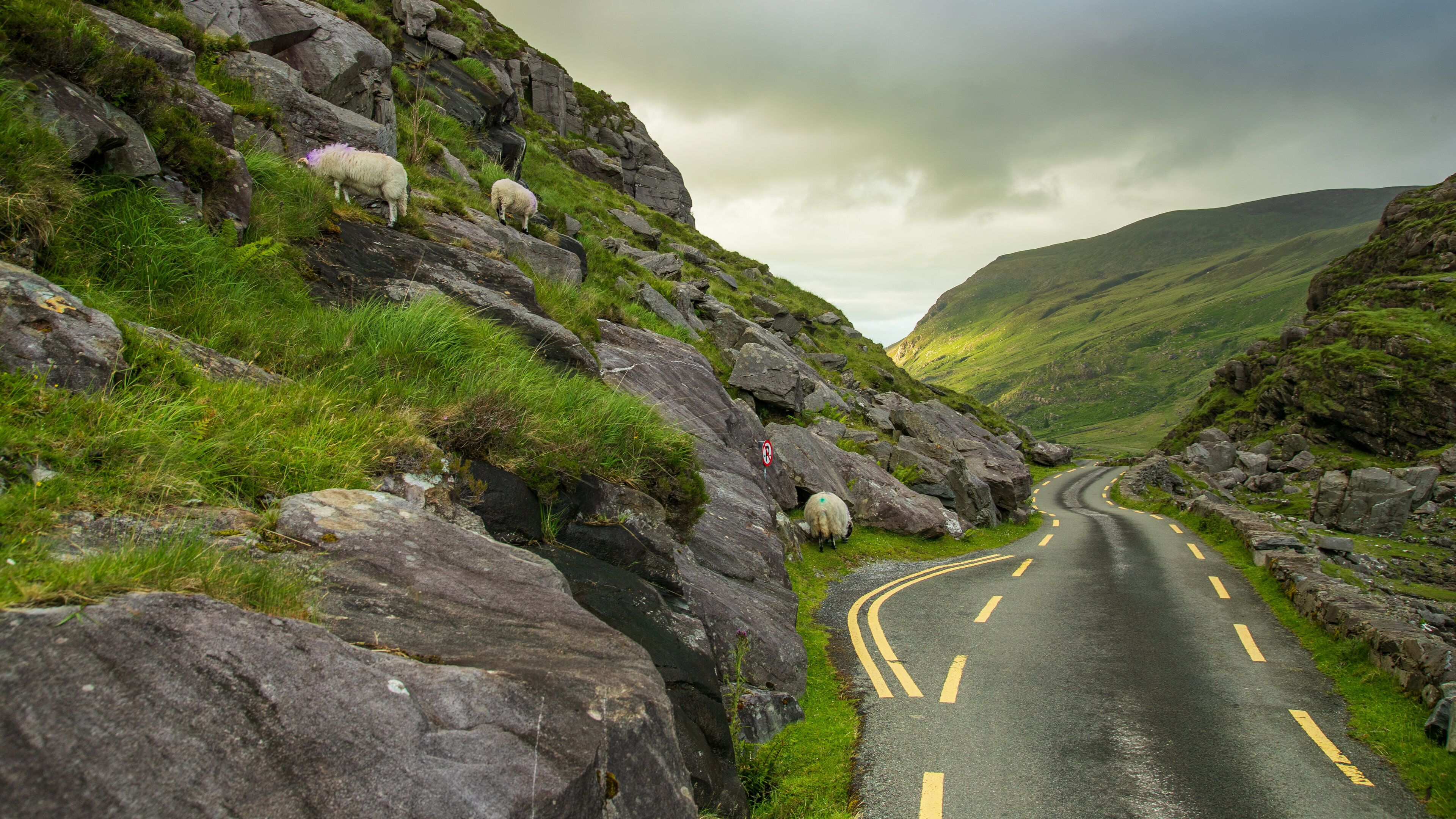 Gap of Dunloe showing mountains and tranquil scenes