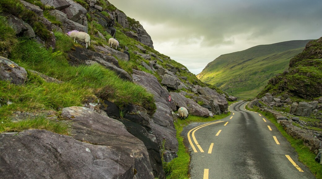 Gap of Dunloe showing mountains and tranquil scenes