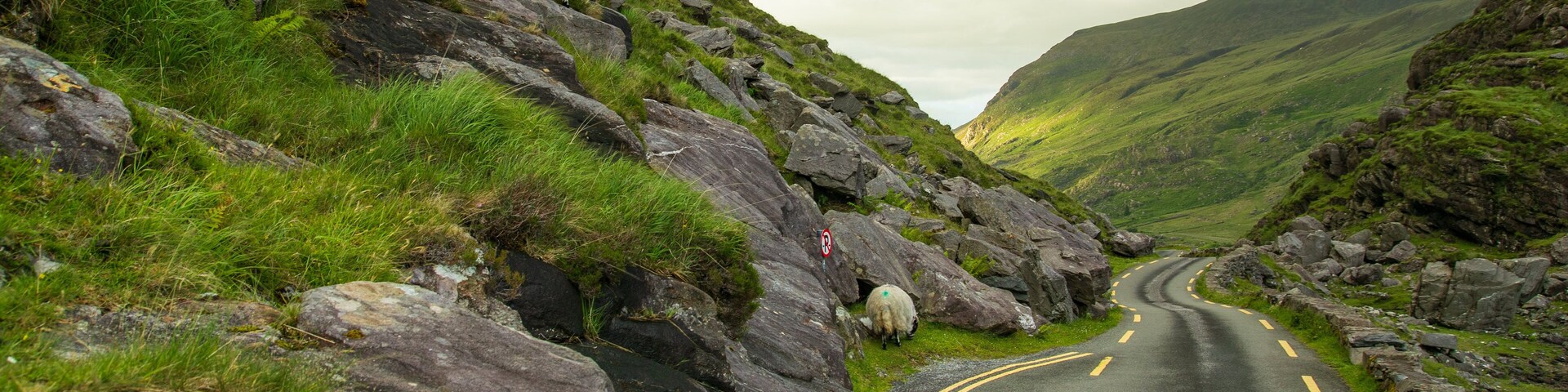 Gap of Dunloe showing mountains and tranquil scenes