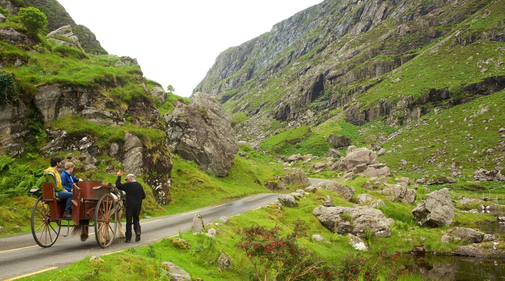 Gap of Dunloe mostrando montañas, escenas tranquilas y equitación