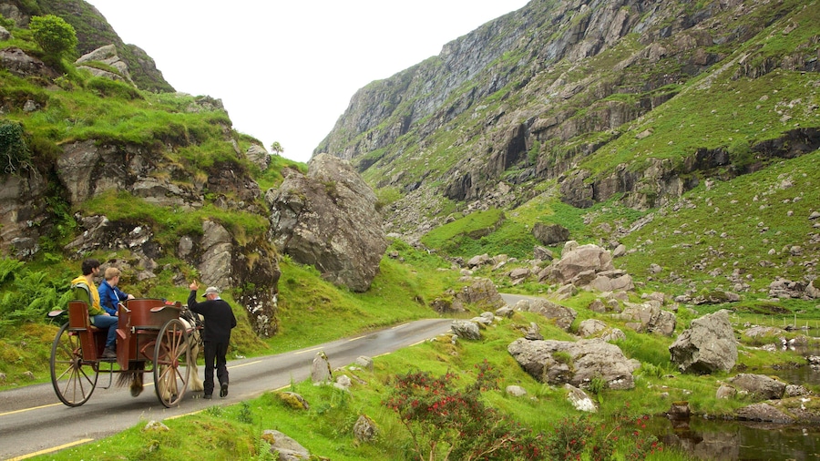 Gap of Dunloe bevat bergen, paardrijden en vredige uitzichten