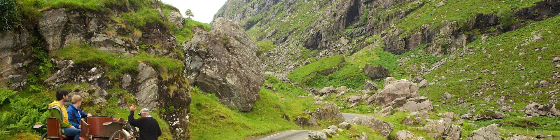 Gap of Dunloe featuring horseriding, tranquil scenes and mountains