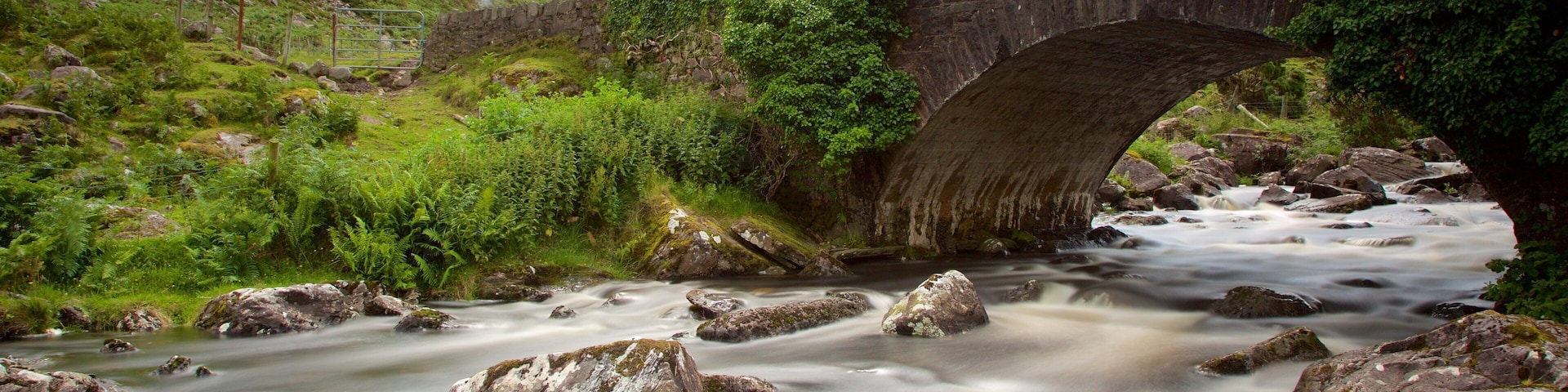 Gap of Dunloe which includes a bridge, a river or creek and tranquil scenes