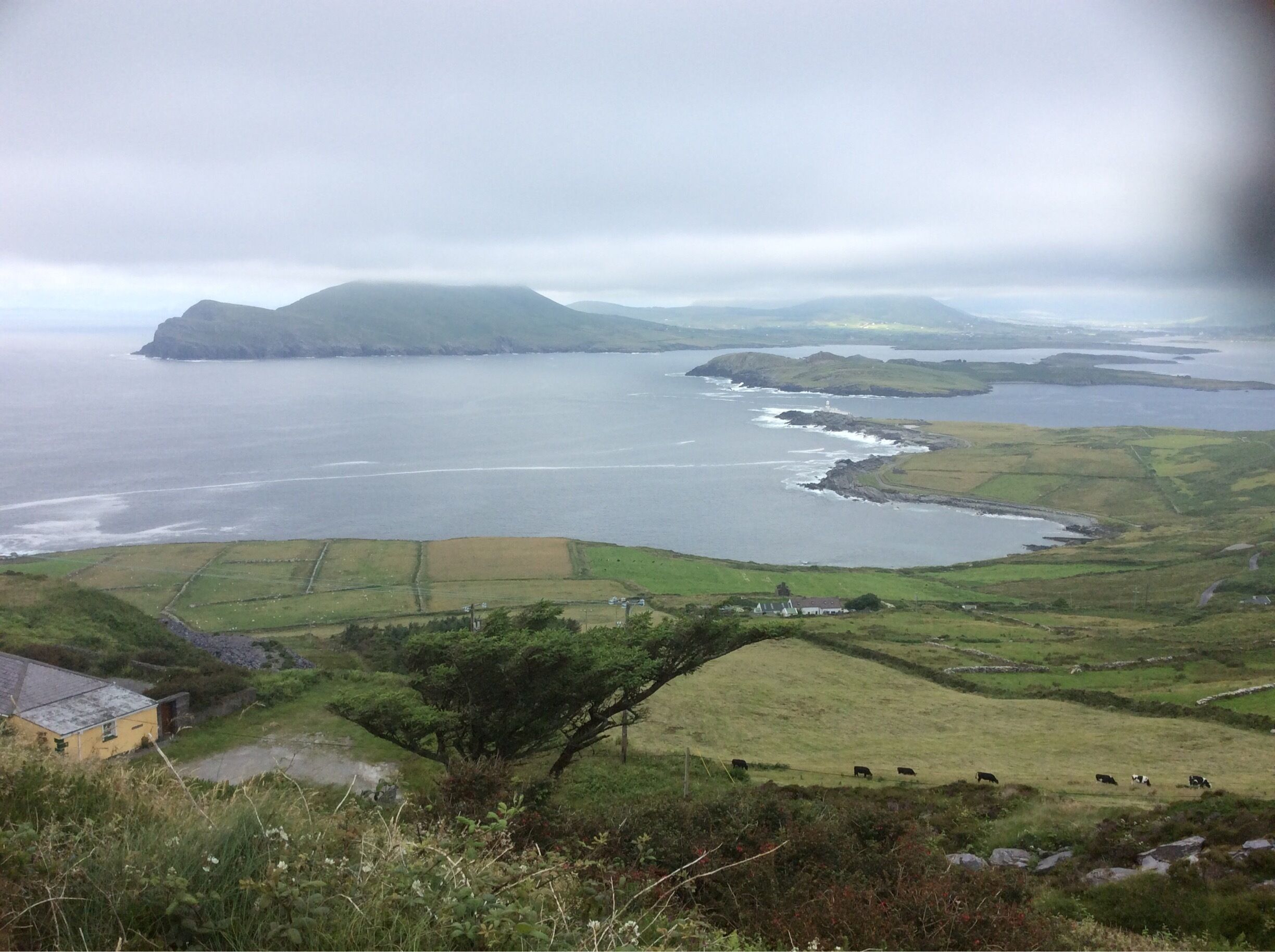 This view is taken from the quarry where there's a statue of the Virgin Mary. A fantastic drive to here and of course you have Skellig Bay nearby. 