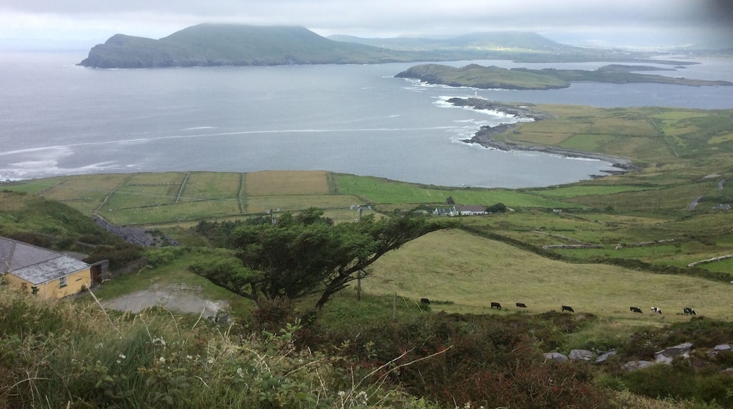 This view is taken from the quarry where there's a statue of the Virgin Mary. A fantastic drive to here and of course you have Skellig Bay nearby.
