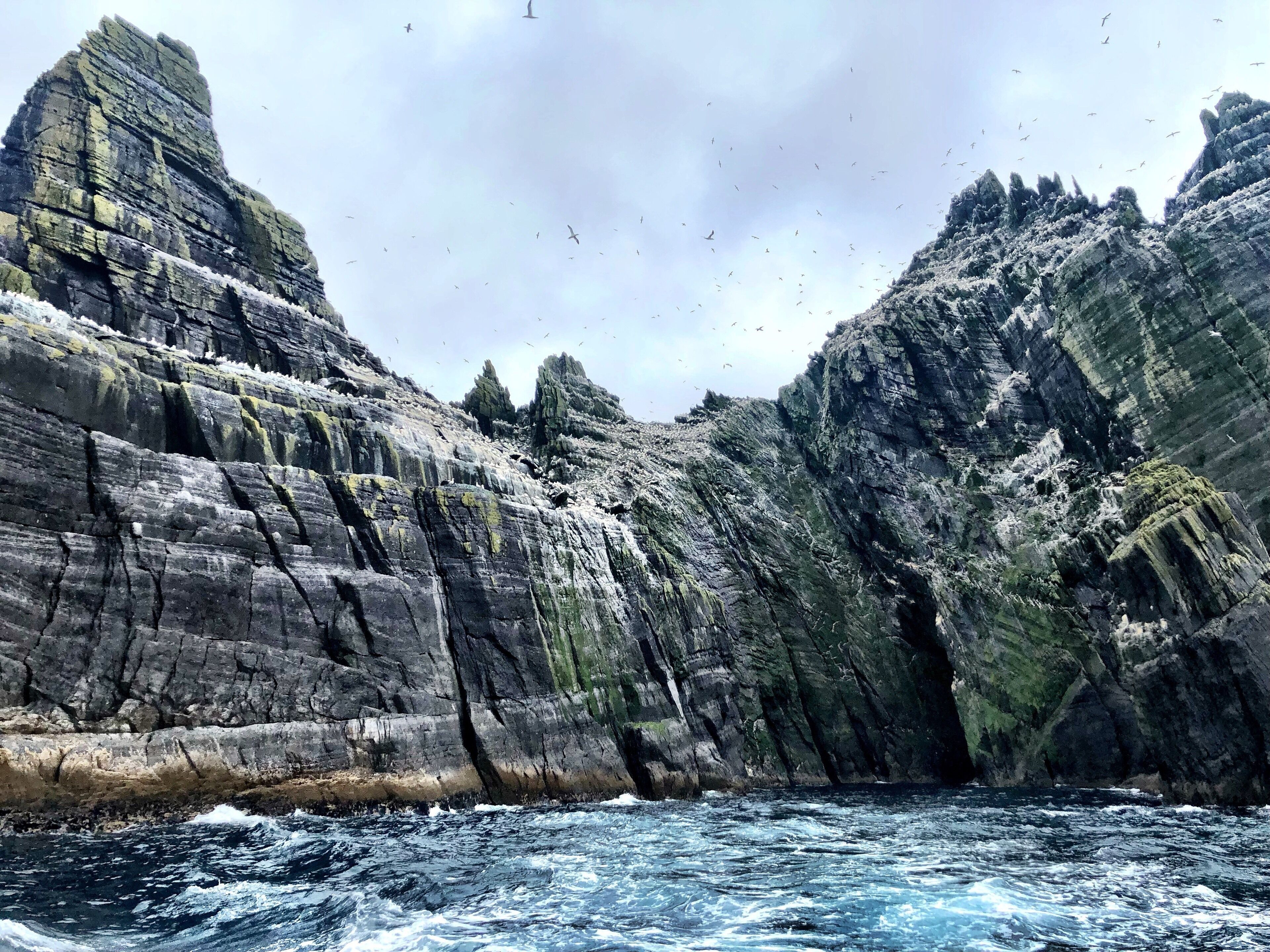Bird Island.  If you look closely the whole island is covered in birds.  It’s a lovely sight but doesn  ’t smell very good. ;)  Ireland 
#adventure photo contest #ireland