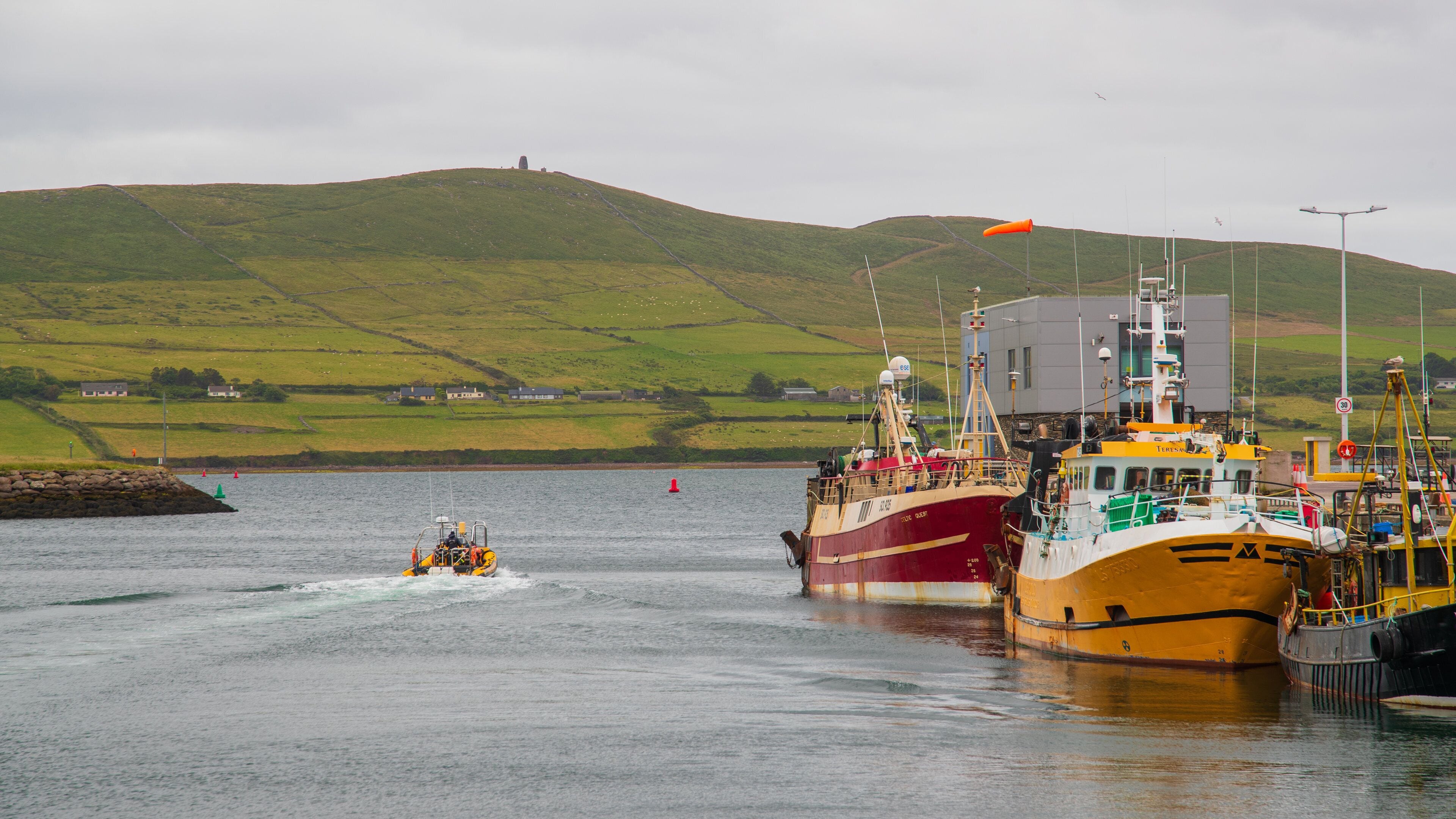 Dingle Harbour showing boating and a bay or harbor