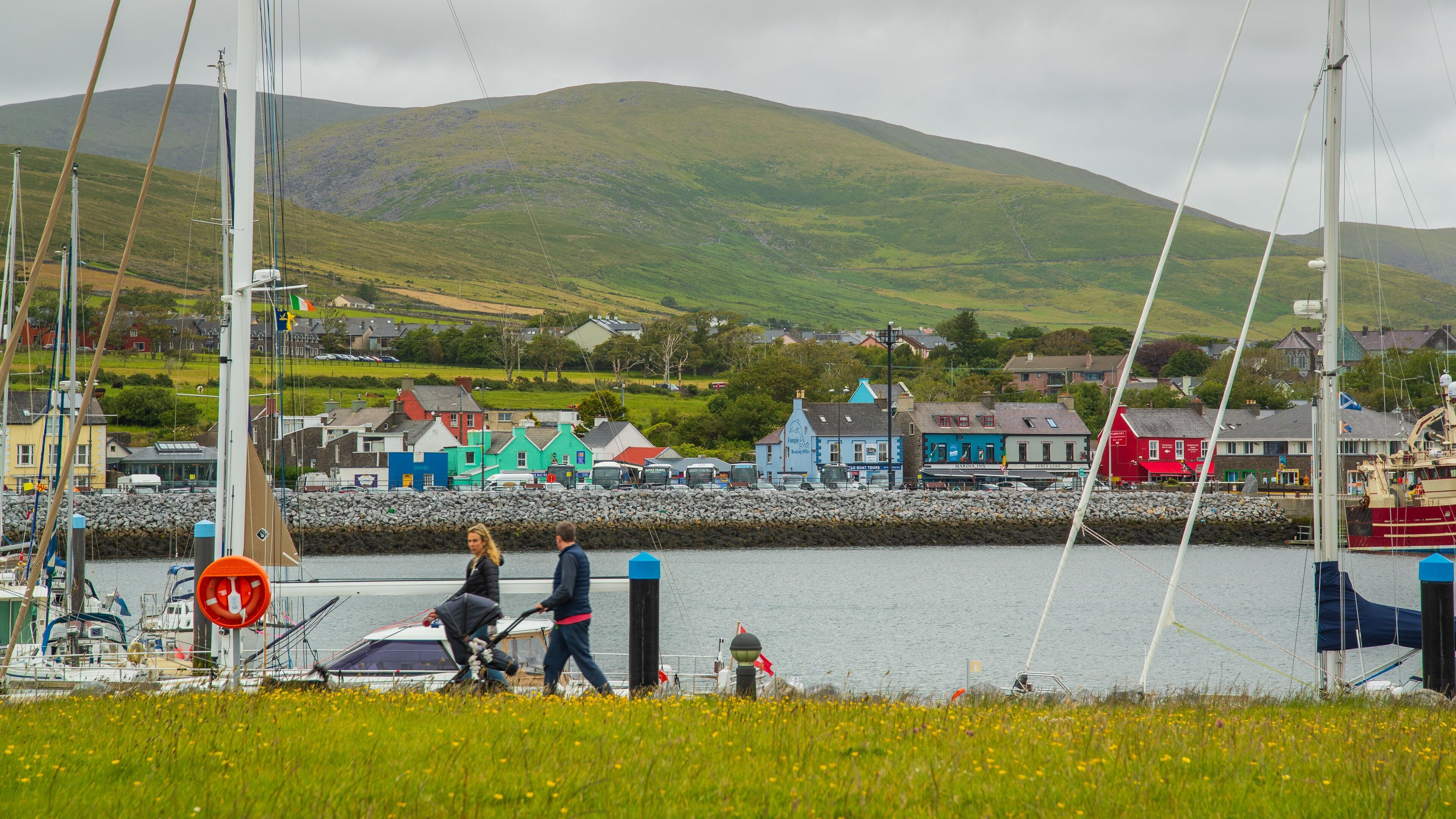 Dingle Harbour which includes a bay or harbor as well as a family
