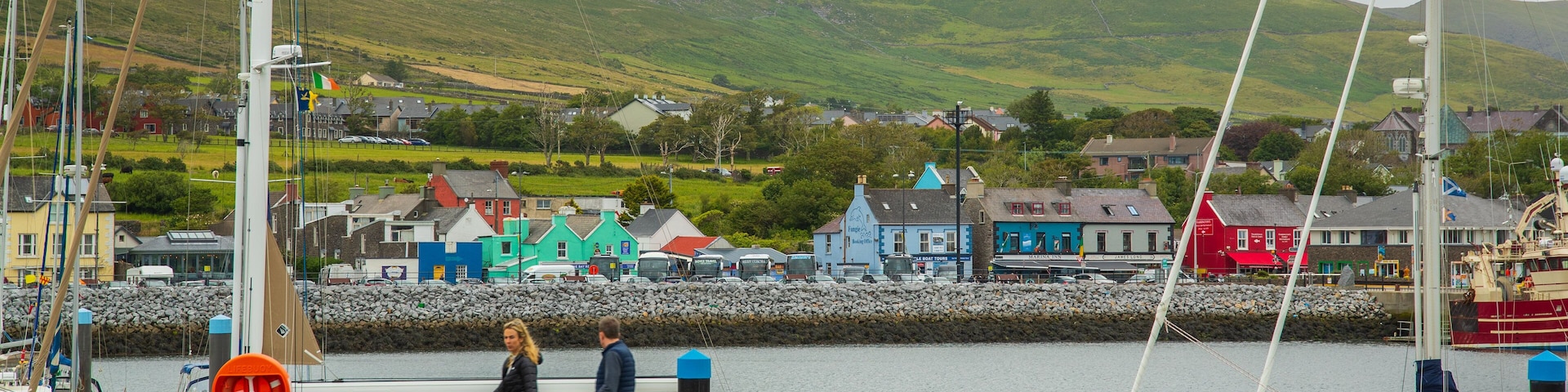 Dingle Harbour which includes a bay or harbor as well as a family
