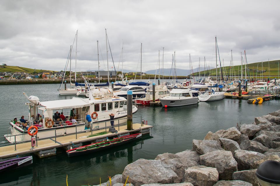 Un port de plaisance où sont amarrés différents types de bateaux, une côte rocheuse et, en arrière-plan, des collines et des maisons.