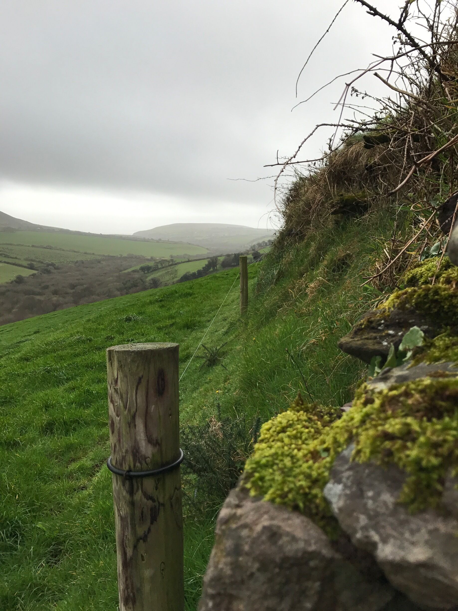 Nothing's greener than Emerald Isle 🍀🇮🇪 #green 