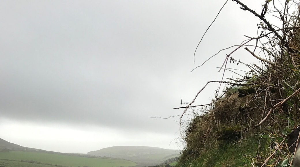 Nothing's greener than Emerald Isle 🍀🇮🇪 #green