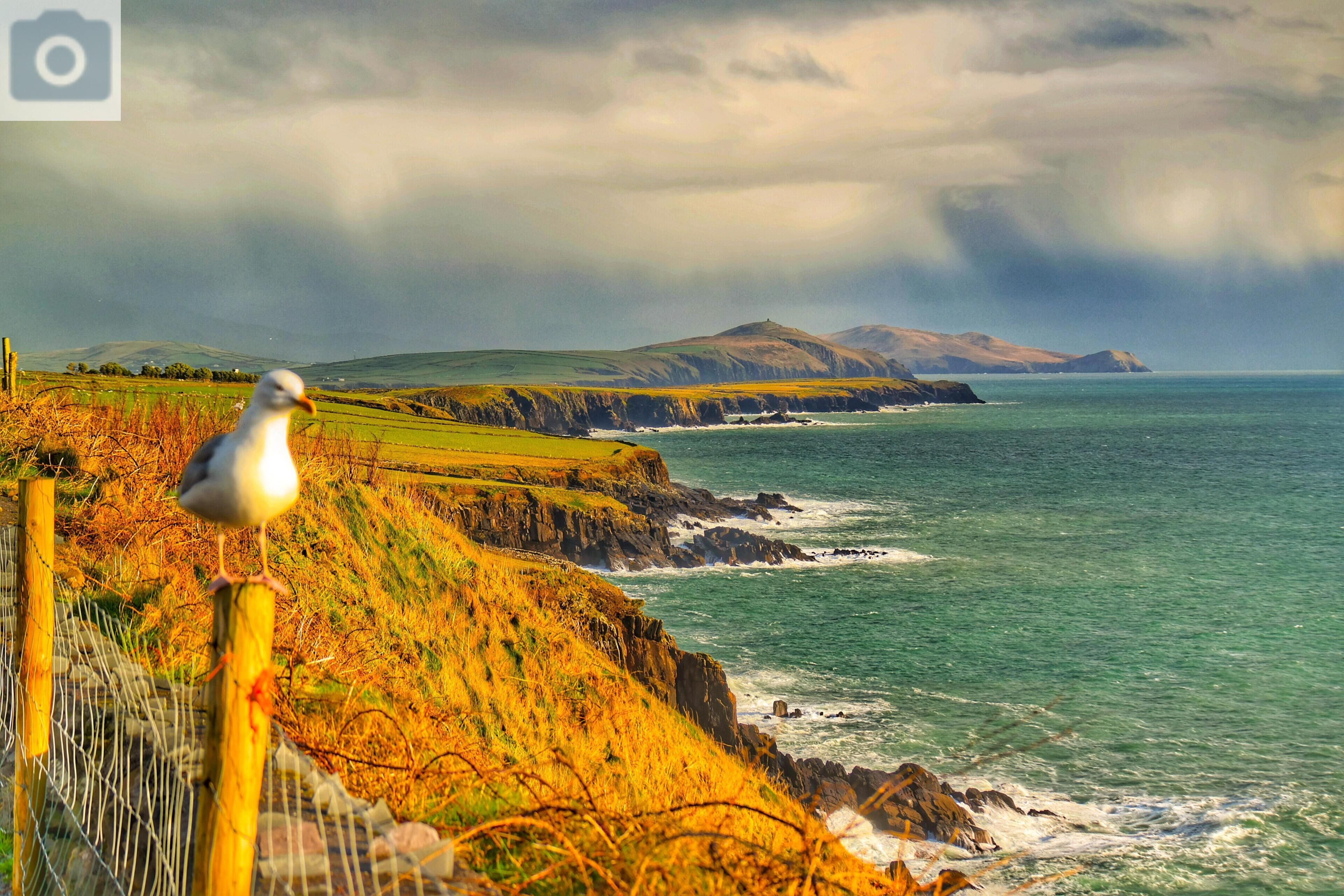Slea Head,Dingle Peninsula,Kingdom of Kerry,IRELAND.
