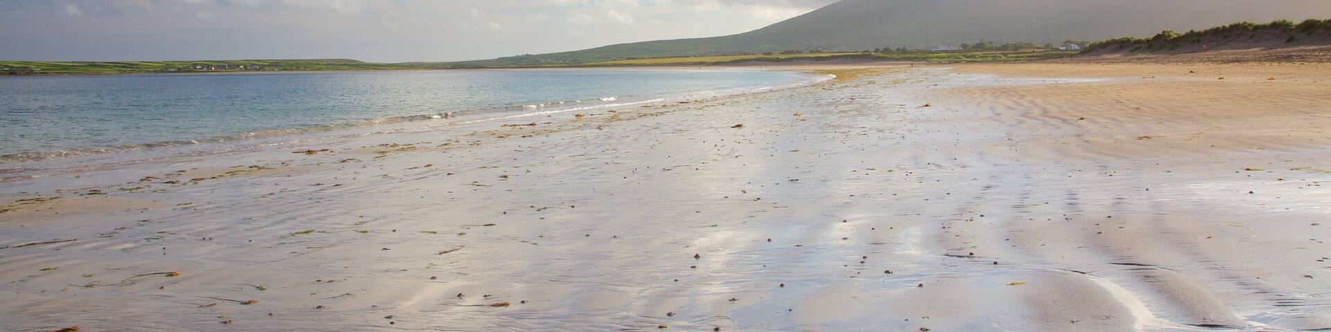 Ventry Beach featuring tranquil scenes and a sandy beach