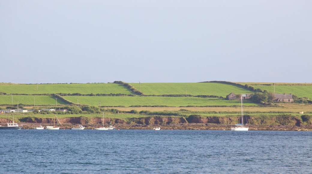 Ventry Beach showing tranquil scenes and a river or creek