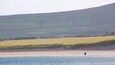 Ventry Beach which includes tranquil scenes and a beach