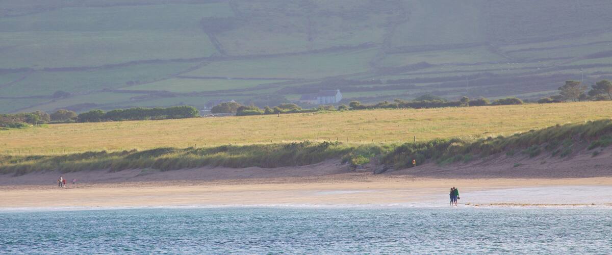 A coastal landscape with a sandy beach, grassy fields, and a hill in the background.