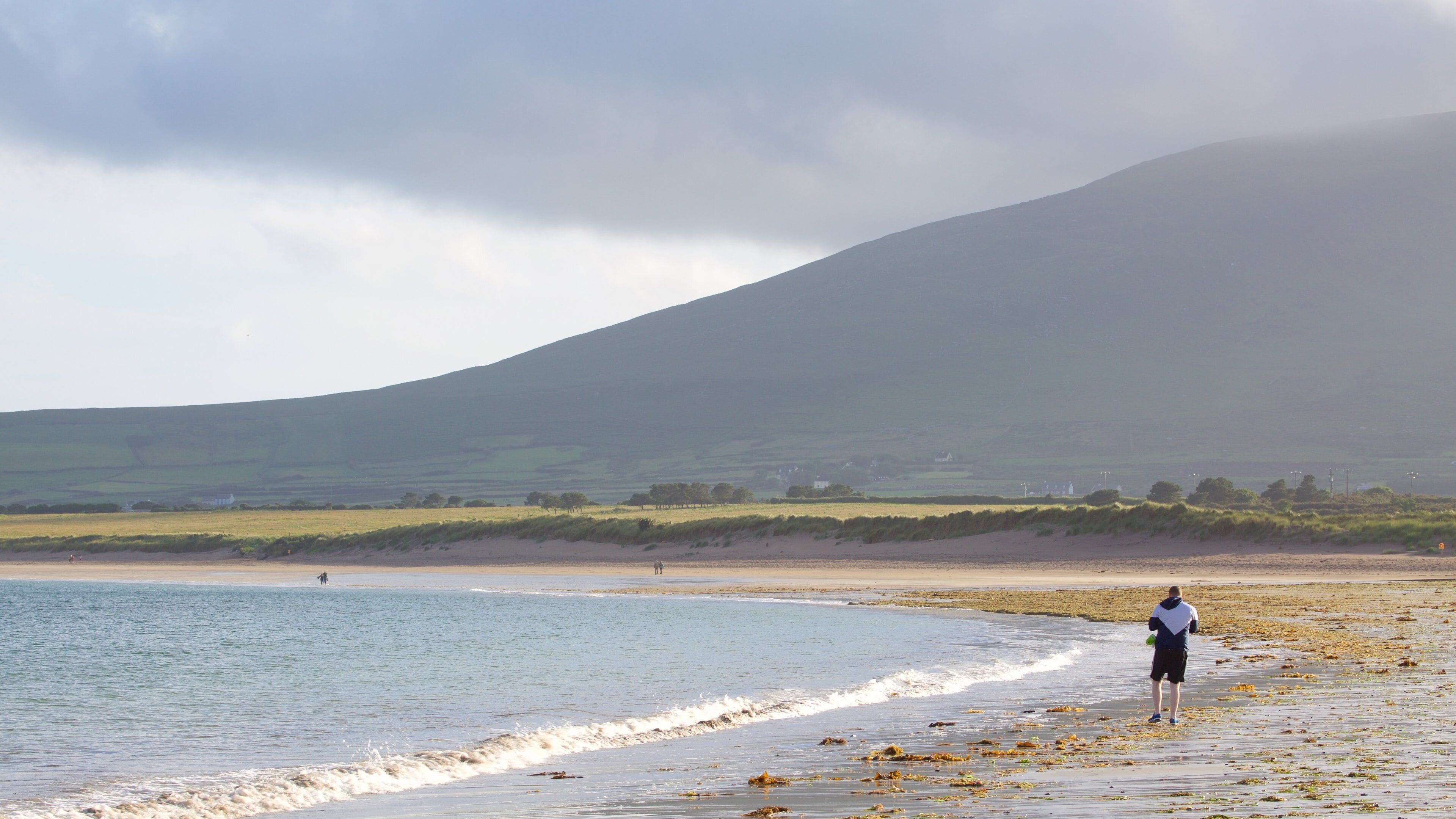 Ventry Beach fasiliteter samt rolig landskap, kyst og stenete kystlinje