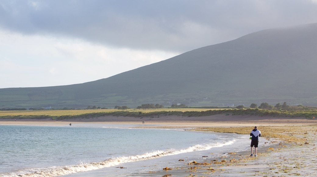 Ventry Beach fasiliteter samt rolig landskap, kyst og stenete kystlinje